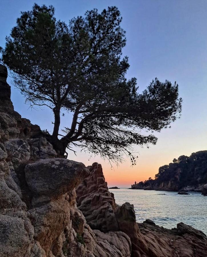 Seahomes Vacations, La Casa Blue Mediterranean Lifestyle Blanes Dış mekan fotoğraf